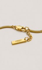 A gold snake chain necklace with a lobster clasp and a small rectangular tag engraved with the brand name 'Aneesa', displayed on a light gray background.