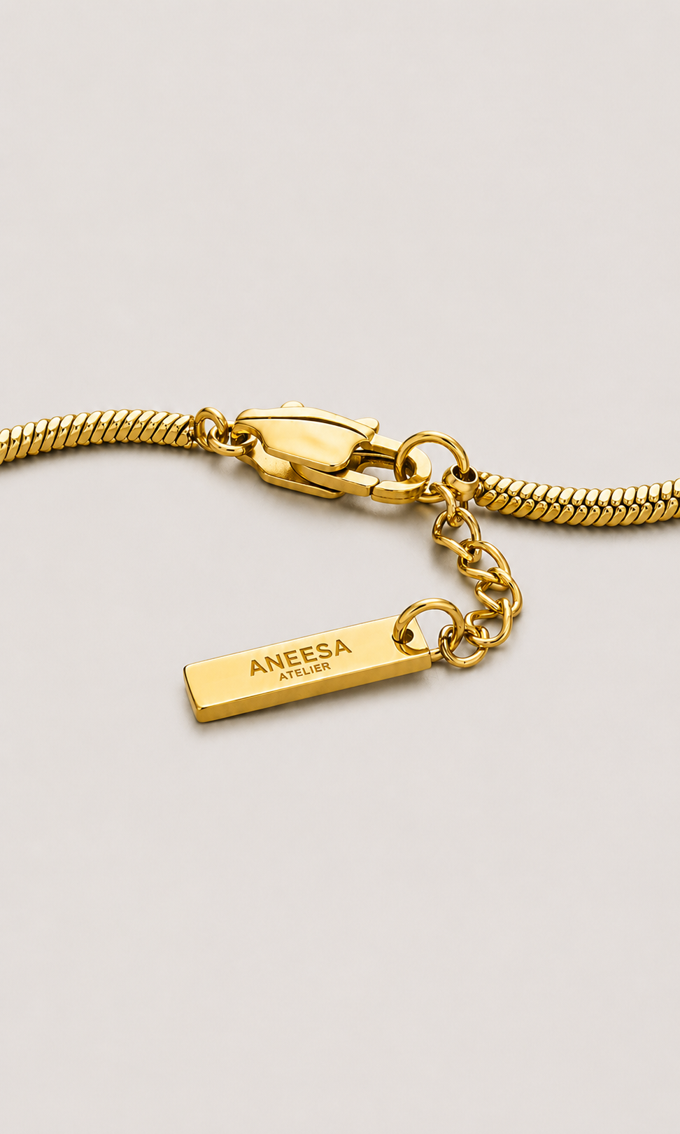 A gold snake chain necklace with a lobster clasp and a small rectangular tag engraved with the brand name 'Aneesa', displayed on a light gray background.