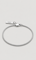 A silver-toned snake chain bracelet with a lobster clasp and a small rectangular brand tag engraved with 'ANEESA', shown on a light gray background.