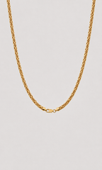 A gold rope chain necklace with a lobster clasp, shown against a solid light gray background.